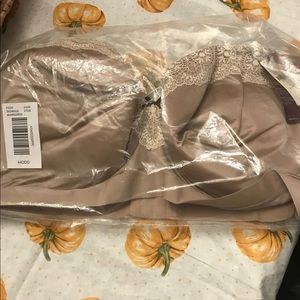 Lane Bryant Bra 44DDD